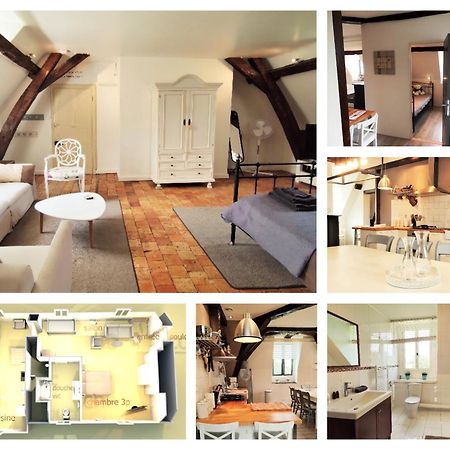 Chateau La Mothaye - Self Catering Apartments With Pool In The Loire Valley Les Bois-d'Anjou Exterior photo