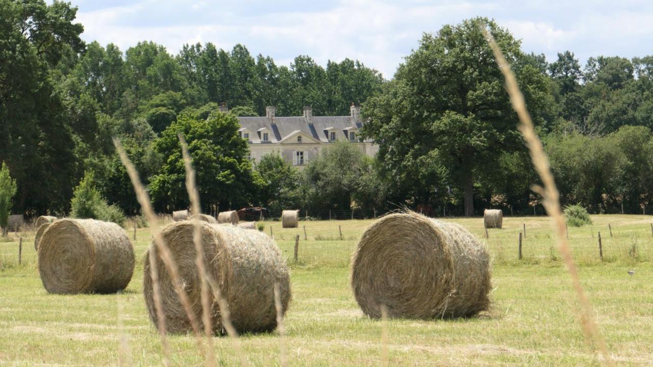 Chateau La Mothaye - Self Catering Apartments With Pool In The Loire Valley Les Bois-d'Anjou Exterior photo