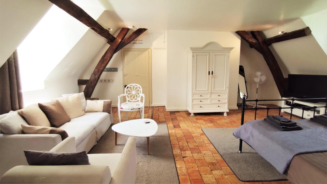Chateau La Mothaye - Self Catering Apartments With Pool In The Loire Valley Les Bois-d'Anjou Exterior photo
